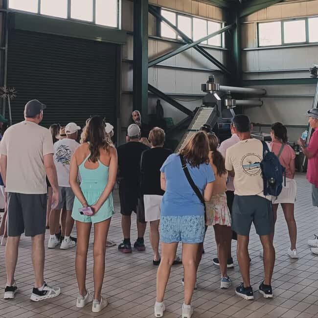 Agia Marina - Chania - visit to an oil mill and organic winery - Final Thoughts: Who Will Enjoy This Tour