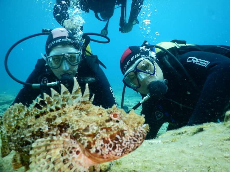 Agia Pelagia: Introduction to Scuba Diving (2 Dives) - Detailed Breakdown of the Itinerary