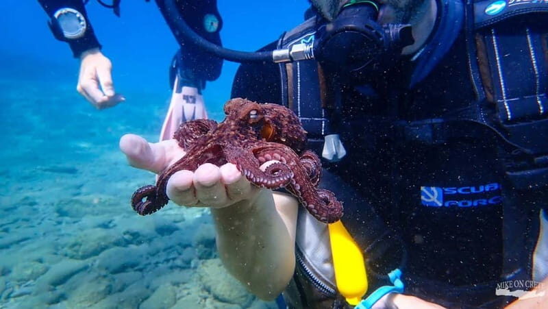 Agia Pelagia: Scuba Diving Activity for Children - In-Depth Review of the Experience