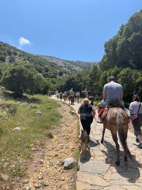 Agios Nikolaos: Lasithi Plateau Day Trip - Final Thoughts: Who Should Consider This Tour?