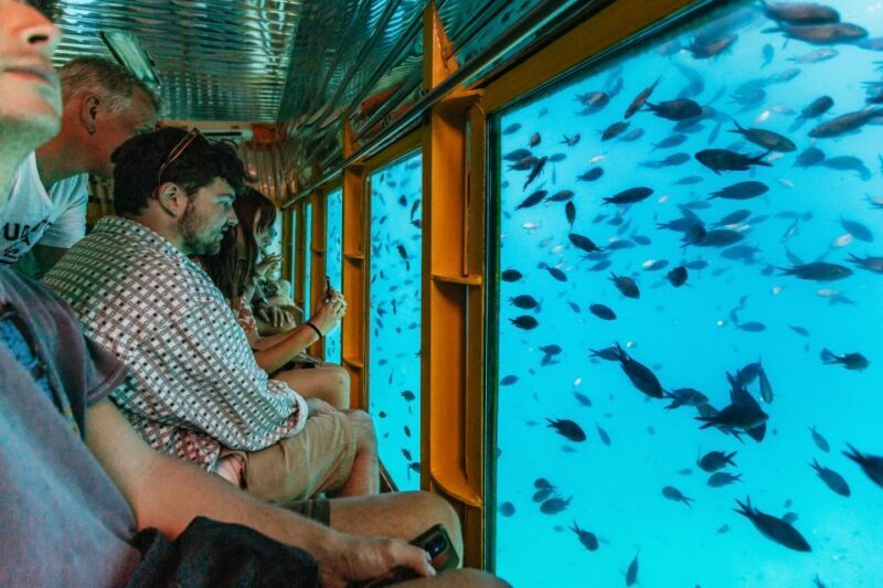 Agios Nikolaos: Semi-Submarine Cruise - An In-Depth Look at the Experience