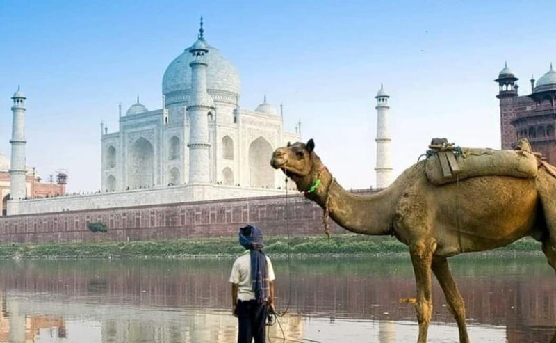 Agra: 3-Hour Private Guided Walking Tour of the Taj Mahal - The Sum Up
