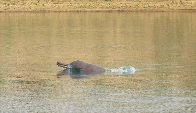 Agra in a Frame: From Marble Majesty to River Mystique - FAQ