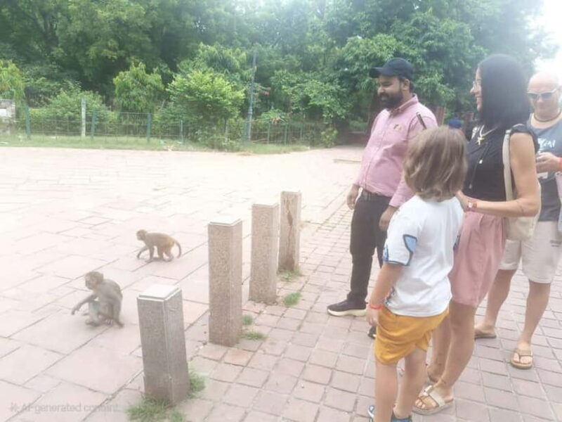Agra: Monkey Safari Guided Walking Tour - FAQs