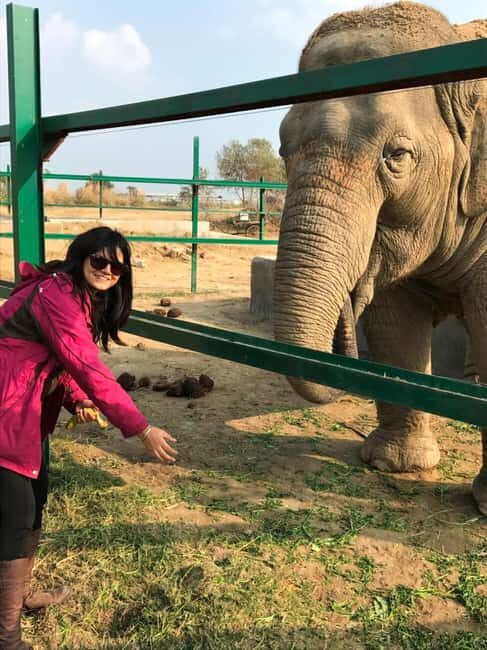 Agra: Skip the Line Taj Mahal & Elephant SOS Tour with Lunch - Final Thoughts