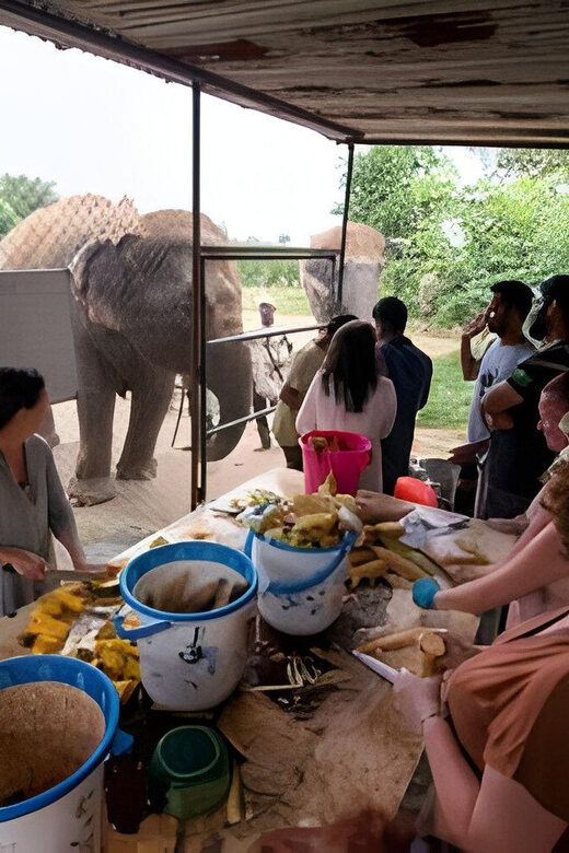 Agra: Taj Mahal, Agra & Elephant SOS Full or Half Day Tour - FAQs