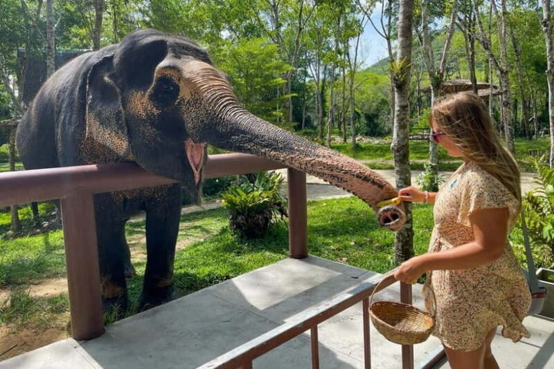 Agra: Taj Mahal, Agra Fort & SOS Wildlife Sanctuary Tour - Key Points