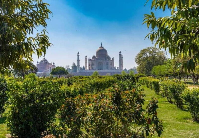 Agra: Tour Guide in Agra full-day - 8 Hours - Key Points