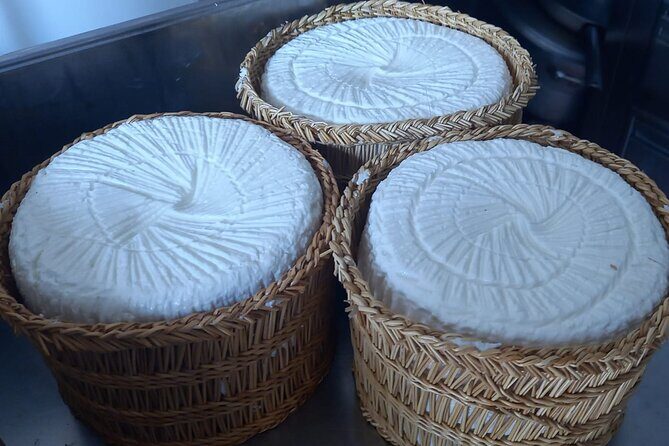 Agriaperitivo in a 3-Hour Farm Activities in Ugento - A Closer Look at the 3-Hour Agriaperitivo in Ugento