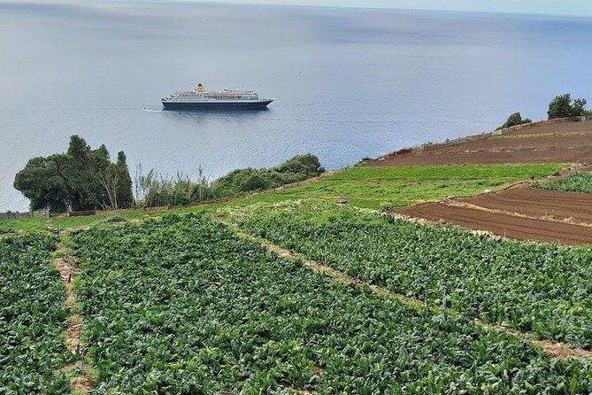 Agriculture Green Tour - Exploring Madeira’s Hidden Agricultural Treasures