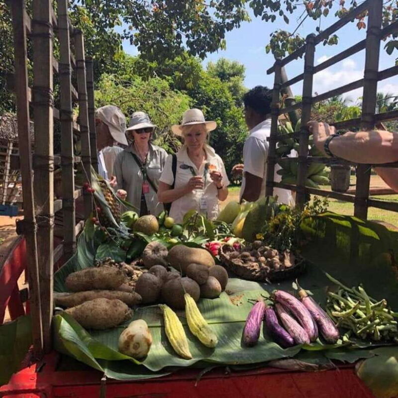 Agro village: guided walking tour and local lunch - Who Should Consider This Tour?
