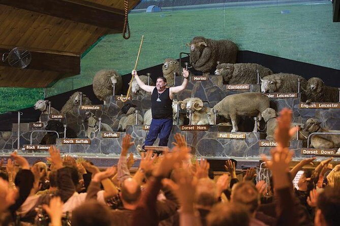 Agrodome Farm Experience including Farm Show and Farm Tour - Rotorua - Experience the Charm of Rotorua’s Agrodome Farm and Sheep Show