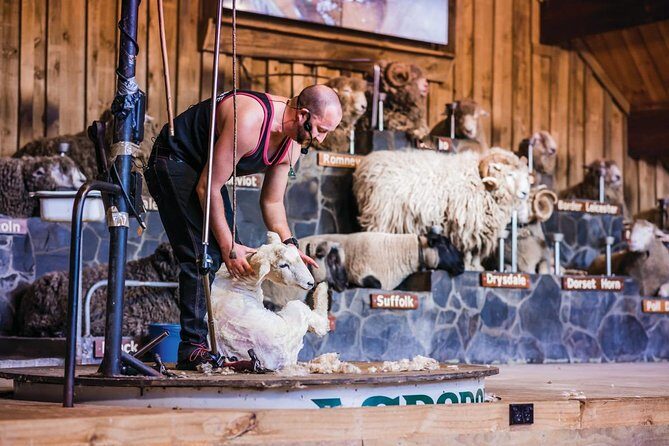 Agrodome Farm Experience including Farm Show and Farm Tour - Rotorua - Key Points