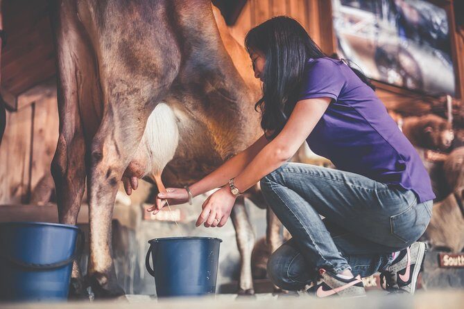 Agrodome Farm Experience including Farm Show and Farm Tour - Rotorua - Who Will Love This Tour?
