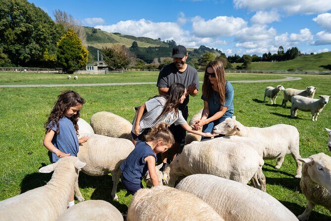 Agrodome Farm Experience including Farm Show and Farm Tour - Rotorua - The Sum Up: Why the Agrodome Is a Great Choice for Your Rotorua Visit