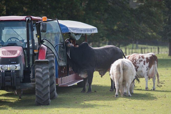 Agrodome Farm Experience including Farm Show and Farm Tour - Rotorua - FAQs