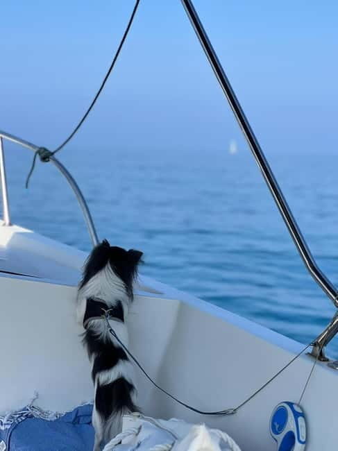 Agropoli: sunset boat tour with aperitif - FAQ about the Agropoli Sunset Boat Tour