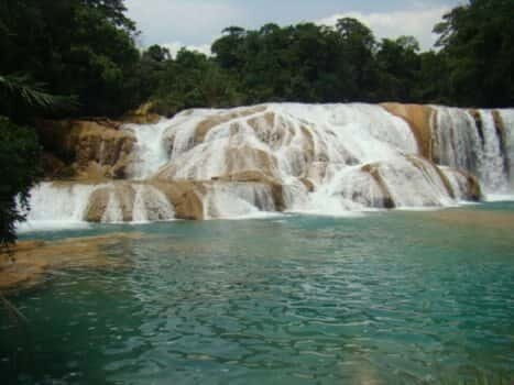 Agua Azul, Misol-Ha & Palenque Ruins from San Cristobal - Who Is This Tour Best For?