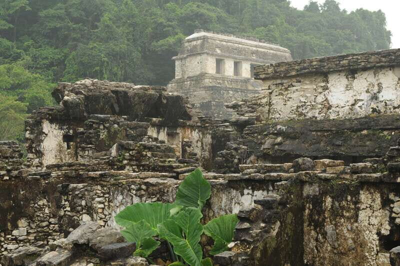 Agua Azul, Misol-Ha & Palenque Ruins from San Cristobal - Frequently Asked Questions