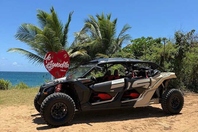 Aguadilla UTV Off-Road Tour to Faro Ruins! - Exploring the Details: What Youll Experience