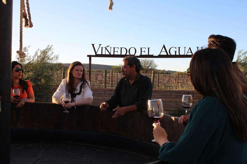 Aguascalientes: Magical Town and Winery Tour - A Deep Dive into the Experience