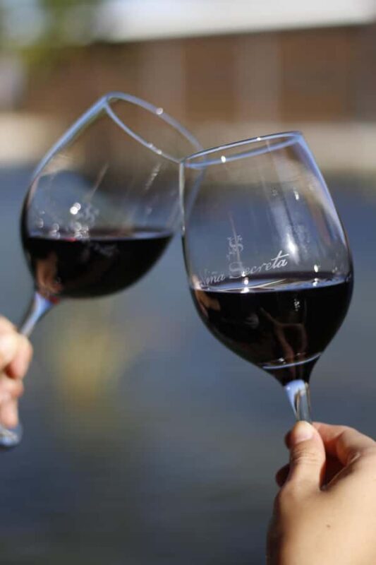 Aguascalientes: Wine Tour - The Sum Up