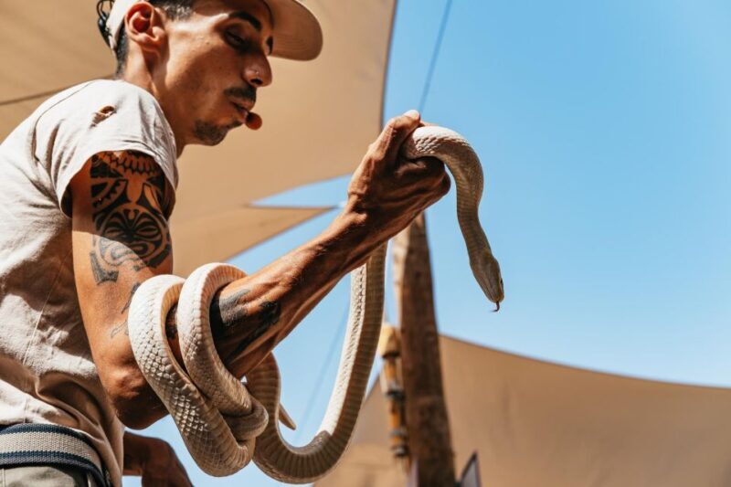Agüimes: Cocodrilo Park Zoo Entry Ticket - Animal Encounters and Exhibits