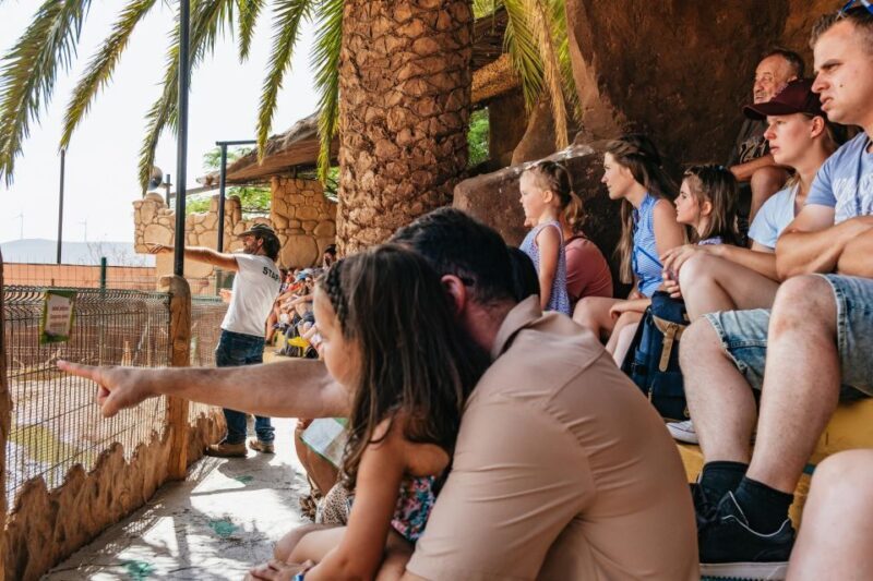 Agüimes: Cocodrilo Park Zoo Entry Ticket - Shows, Talks, and Education