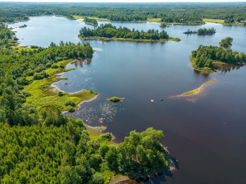 Agunnaryd: Kayak Rental with Life Jacket & Paddle - Key Points