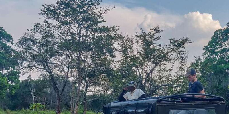 Ahangama: Udawalawe National Park Safari with Hotel Pickup - An In-Depth Look at the Udawalawe Safari Experience