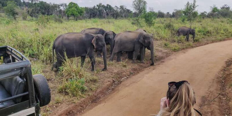 Ahangama: Udawalawe National Park Safari with Hotel Pickup - The Sum Up