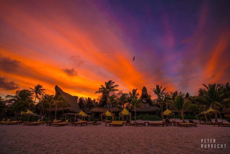 Ahau de Noche: Dinner under the stars and iconic art in Tulum - Who Should Consider This Tour?