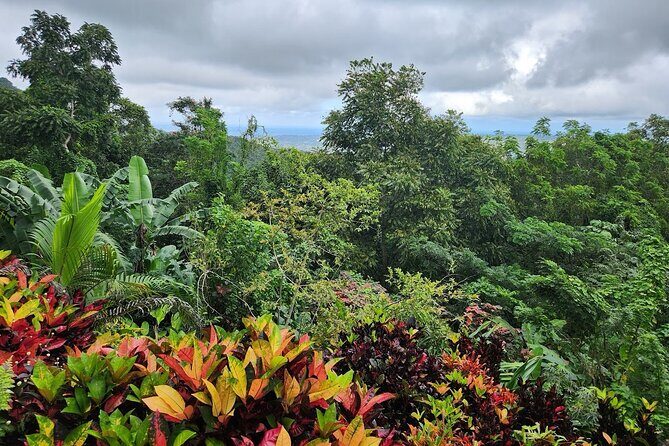 Ahhh Rasnatango Gallery and Garden - What to Expect on the Tour