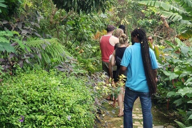 Ahhh Rasnatango Gallery and Garden - The Sum Up