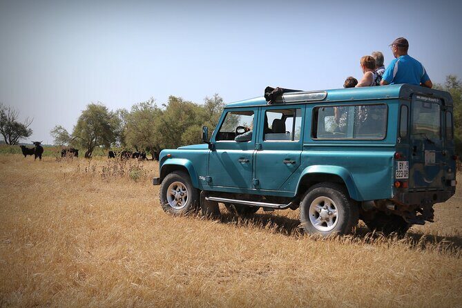 Aigues Mortes: 4x4 photo safari in the Camargue - Exploring the Camargue 4x4 Photo Safari: What to Expect
