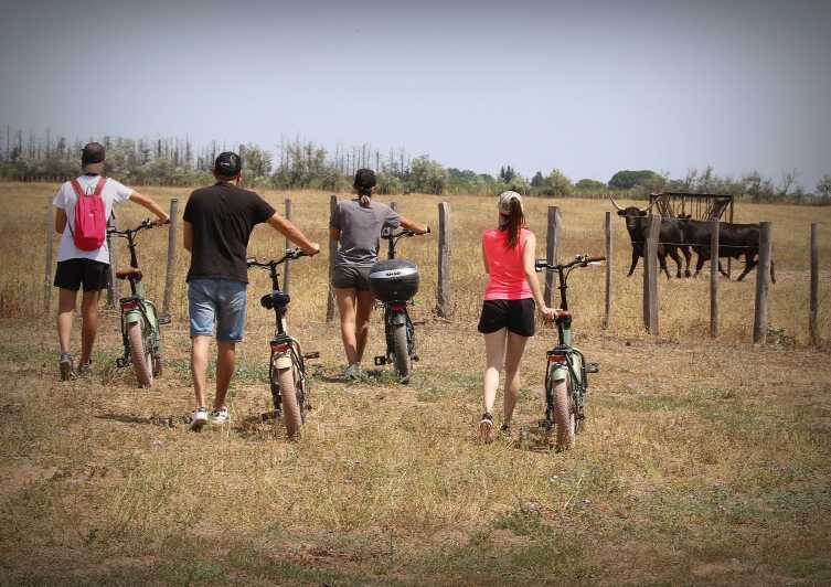 Aigues Mortes: safari en vélo - Ebike tour in Camargue - Who should consider this tour?