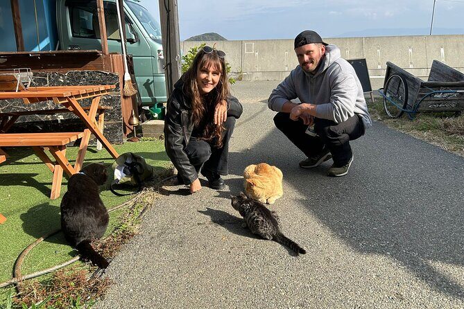 Ainoshima Island Cats Culture and Scenic Beauty Tour - Key Points