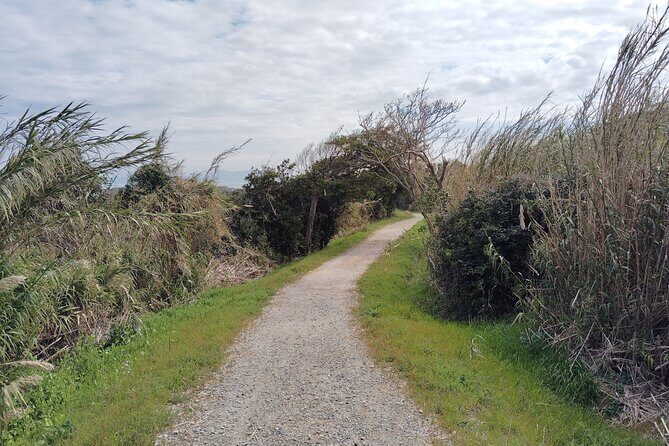 Ainoshima Island Cats Culture and Scenic Beauty Tour - What’s Included and What’s Not