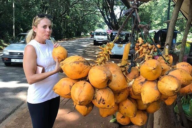 Air port Pick up and Drop to Kandy - A Practical and Comfortable Way to Say Goodbye to Sri Lanka: Airport Transfer from Kandy