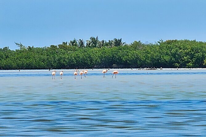 Airboat and ATV Jungle Adventure Combo in Cancun - Final Thoughts