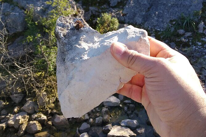 Aire & Candeeiros: Nature, Fossils and Forgotten Traditions - Authenticity and Local Knowledge