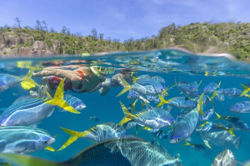 Airlie Beach: Adults-Only Whitehaven Beach Sailing Tour - Final Thoughts: Who Is This Tour Best For?