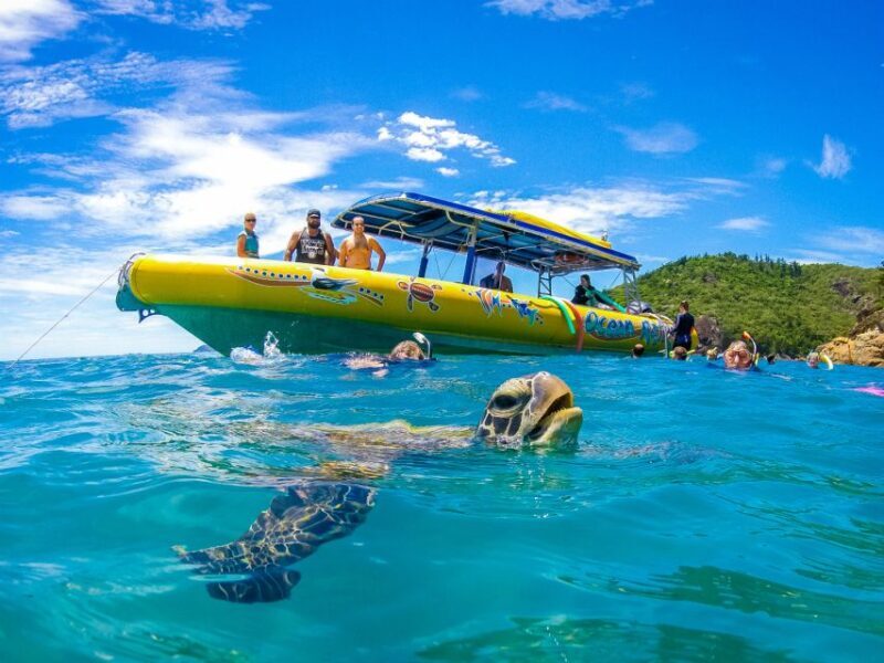 Airlie Beach: Fly Raft Package w Scenic Flight & Snorkeling - A Deep Dive into the Experience