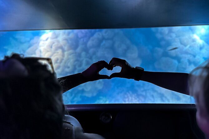 Airlie Beach Glass Bottom Boat Guided Night Tour - Experience the Underwater World Without Getting Wet