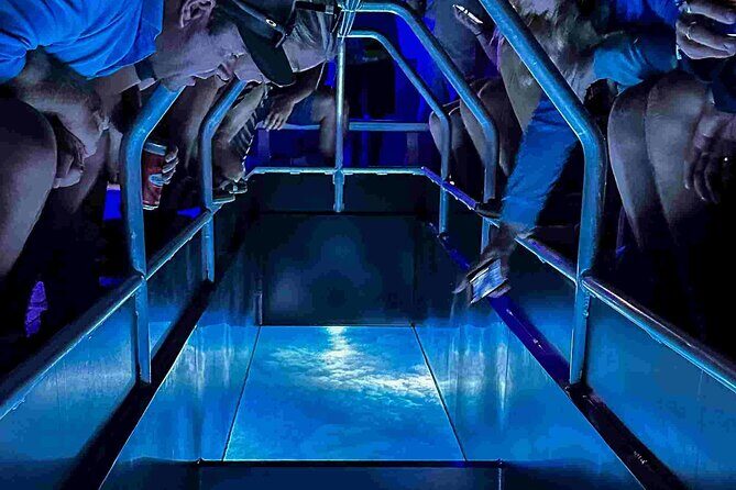Airlie Beach Glass Bottom Boat Guided Night Tour - Key Points