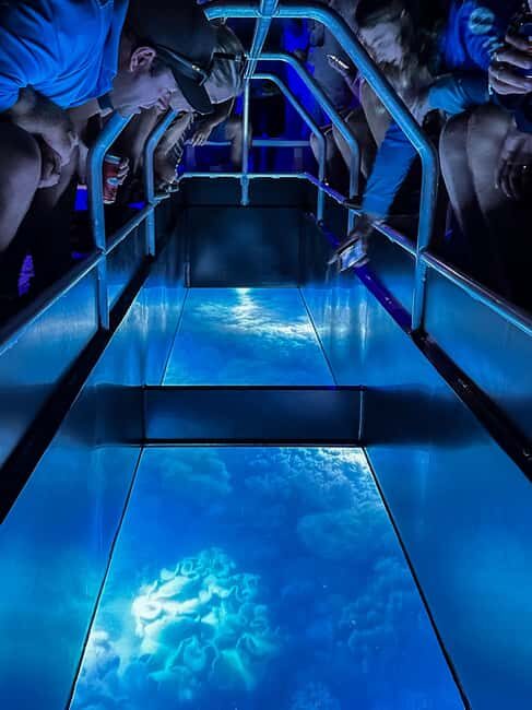 Airlie Beach: Glass-Bottom Boat Night Tour - Airlie Beach: Glass-Bottom Boat Night Tour — An Underwater Adventure After Dark