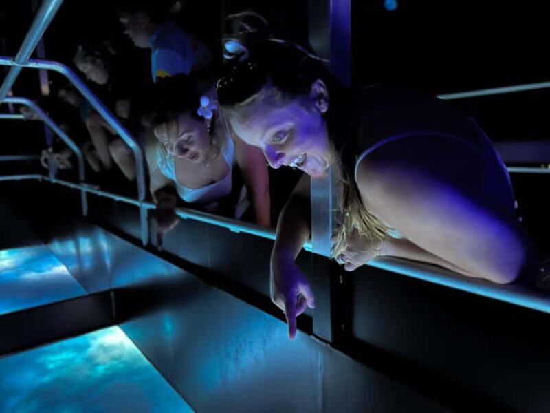 Airlie Beach: Glass-Bottom Boat Night Tour - Key Points