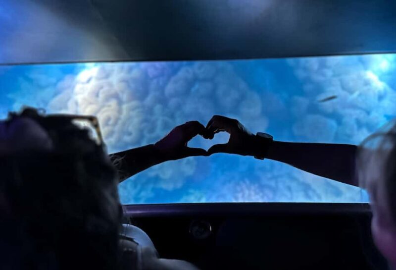 Airlie Beach: Glass-Bottom Boat Night Tour - FAQ