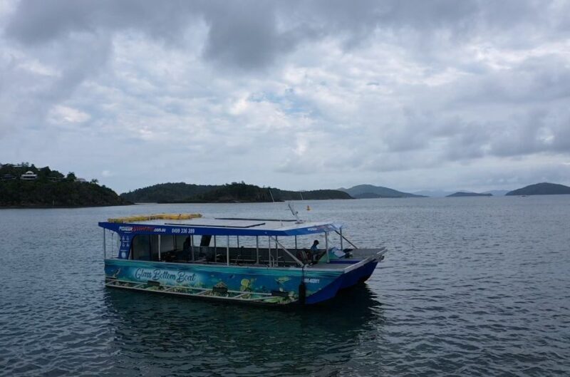 Airlie Beach: Glass-Bottom Boat Tour - What the Tour Is and What It Isn’t