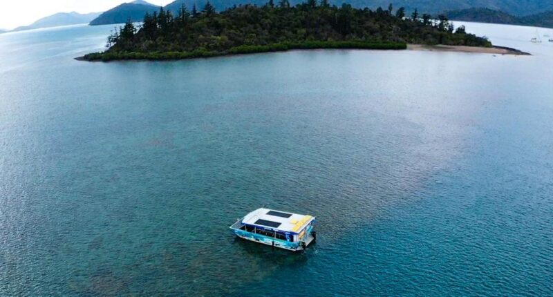 Airlie Beach: Glass-Bottom Boat Tour - What to Expect During Your Time on the Water